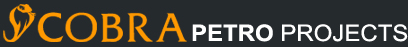 Cobra Petro Projects logo